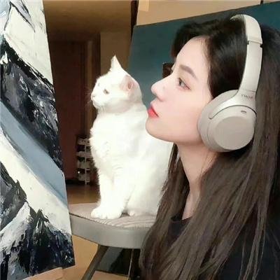 傅先生的二次心动